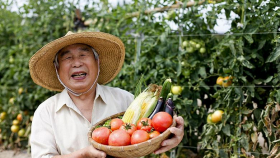 Пожилых японских фермеров оденут в экзоскелеты
